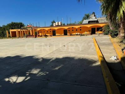 Santa Lucia Del Camino, Oaxaca 71228, Mexique