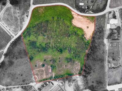 Palmela, Setúbal 2950, Portugal