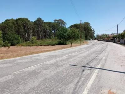 Carregal Do Sal, Viseu 3430-425, Portugal