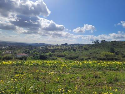 Alenquer, Lisbon 2580-665, Portugal