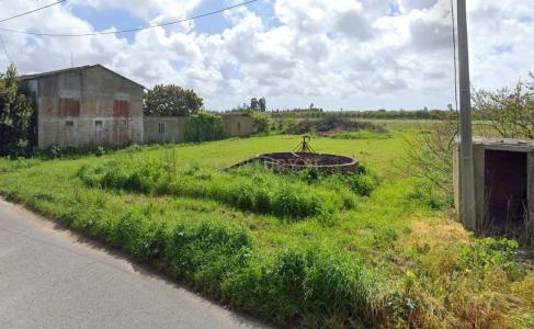 Vagos, Aveiro 3840-341, Portugal