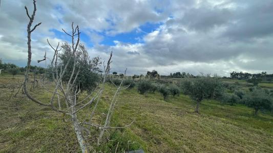 Idanha A Nova, Castelo Branco 6060-262, Portugal