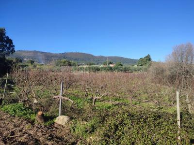 Fundão, Castelo Branco 6230-225, Portugal