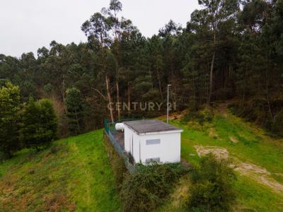 Amarante, Porto 4605-003, Portogallo