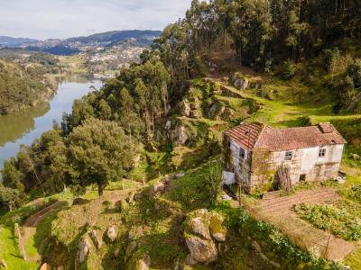 Castelo de Paiva, Aveiro 4550-794, Portugal