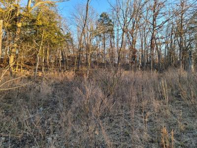 21031 Possum Trot Trail, Wheatland, Missouri 65779