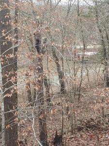 21031 Possum Trot Trail, Wheatland, Missouri 65779