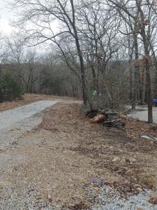 21031 Possum Trot Trail, Wheatland, Missouri 65779