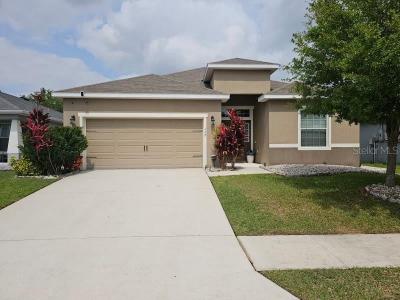 117 Sandestin Drive, Haines City, Florida 33844, USA