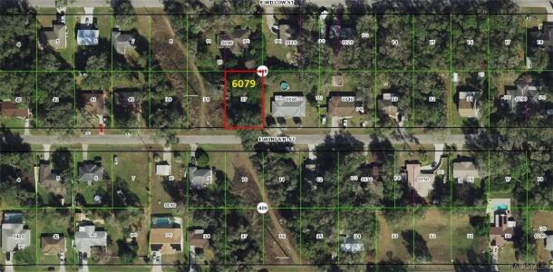 6079 E Wingate Street, Inverness, Florida 34452, USA