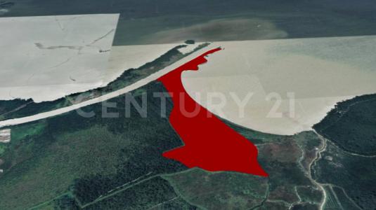 Urabá, Antioquia 057860, Colombia