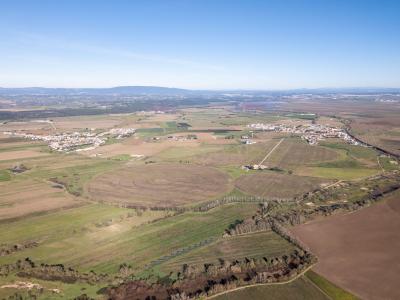 Golegã, Santarém 2150-064, Portugal