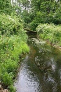 395 Eagle Nest Drive, Chesterton, Индиана 46304, Соединенные Штаты