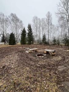 11073 DREAM LAKE Road, Long Lake, Wisconsin 54542