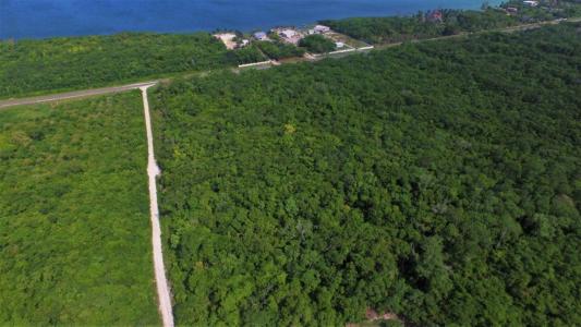 Corozal District, Corozal 00001, بيليز 