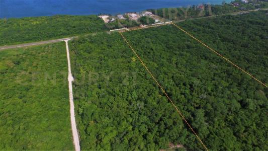Corozal District, Corozal 00001, بيليز 