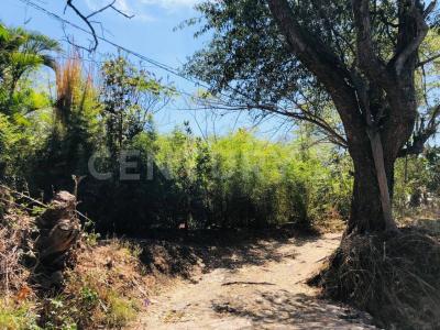 Campo los conejos s/n,, Jiutepec, Morelos 62569, Meksika