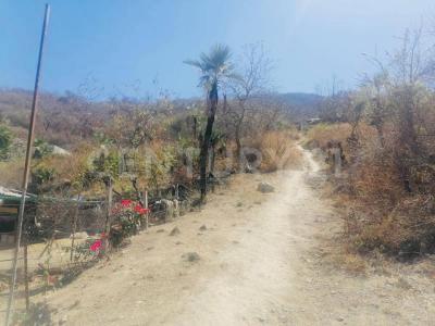 Campo de los conejos S/N,, Jiutepec, Morelos 62569, Meksika