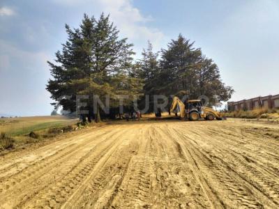 Porfirio Diaz Sn,, Zinacantepec, 墨西哥州 51370, 墨西哥