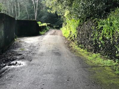 Ponta Delgada, São Miguel Island 9548-262, Portugal