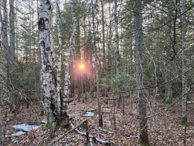 0 W 6 Mile Rd, Brimley, Michigan 49715