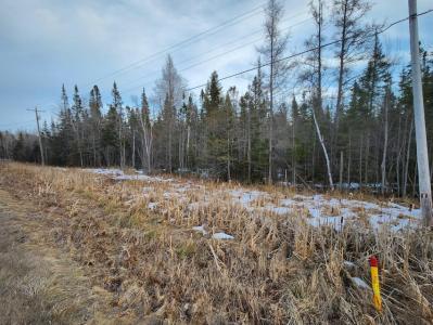 0 W 6 Mile Rd, Brimley, Michigan 49715