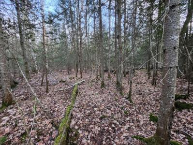 0 W 6 Mile Rd, Brimley, Michigan 49715