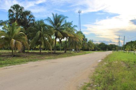 Corozal District, Corozal 00001, بيليز
