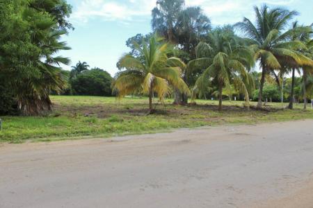 Corozal District, Corozal 00001, بيليز