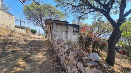 Michoacan s/n,, Yautepec, Morelos 62571, Mexico