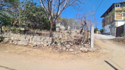 Michoacan s/n,, Yautepec, Morelos 62571, Mexico