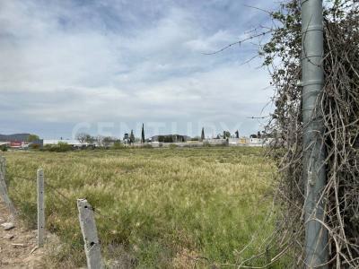 Ramos Arizpe, Coahuila 25904, Messico