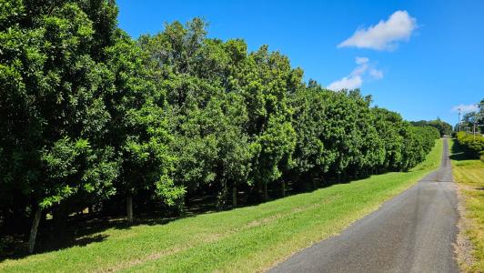 Wollongbar, NSW 2477, Australia