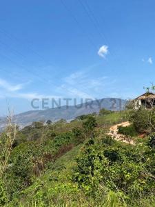 Calle Principal JM-76, Palo Gordo, Táchira 00001, Venezuela