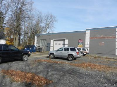 6576 Gowanda State Road, Hamburg, New York 14075, HOA KỲ