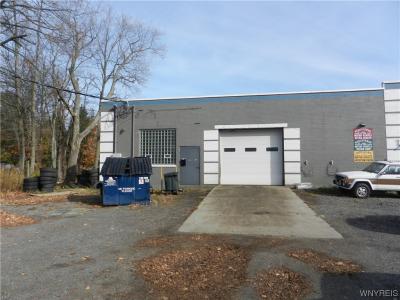 6576 Gowanda State Road, Hamburg, New York 14075, USA