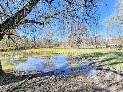 La Ferte St Aubin, Centro – Val De Loira 45240, Francia