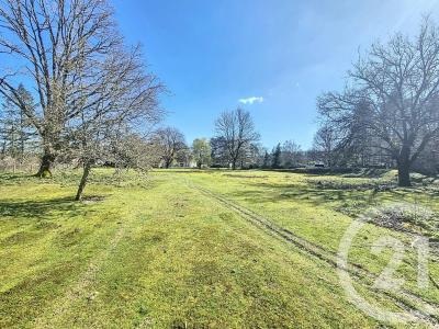 La Ferte St Aubin, Centro – Val De Loira 45240, Francia