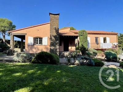 Ceret, Languedoc-Roussillon 66400, France