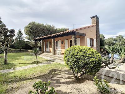 Ceret, Languedoc-Roussillon 66400, Frankreich