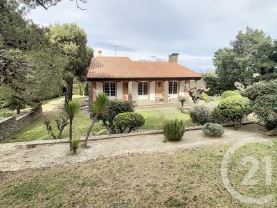 Ceret, Languedoc-Roussillon 66400, Frankreich