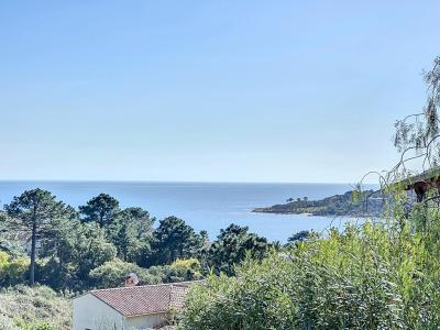 Zonza, Corse 20144, 法國