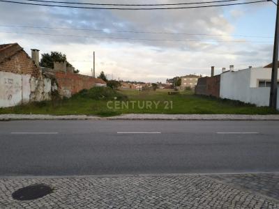 Marinha Grande, Leiria 2430-010, Portugal