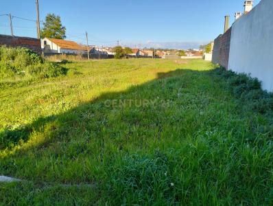 Marinha Grande, Leiria 2430-010, Portogallo