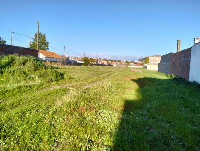 Marinha Grande, Leiria 2430-010, Portogallo