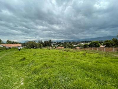 Sector Buena Esperanza Tumbaco, Quito, Pichincha 00001, Ecuador