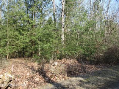 Lot#A240 Sparrow Lane, Jim Thorpe, Pennsylvania 18229, HOA KỲ