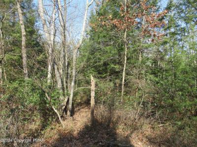 Lot#A241 Sparrow Lane, Jim Thorpe, Pennsylvania 18229, HOA KỲ