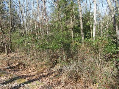 Lot#A241 Sparrow Lane, Jim Thorpe, Pennsylvania 18229, HOA KỲ