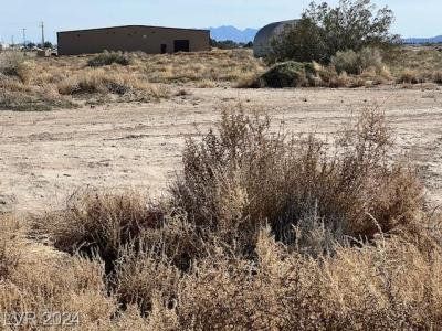 771 North Buckhorn Road, Pahrump, Nevada 89060, Estados Unidos